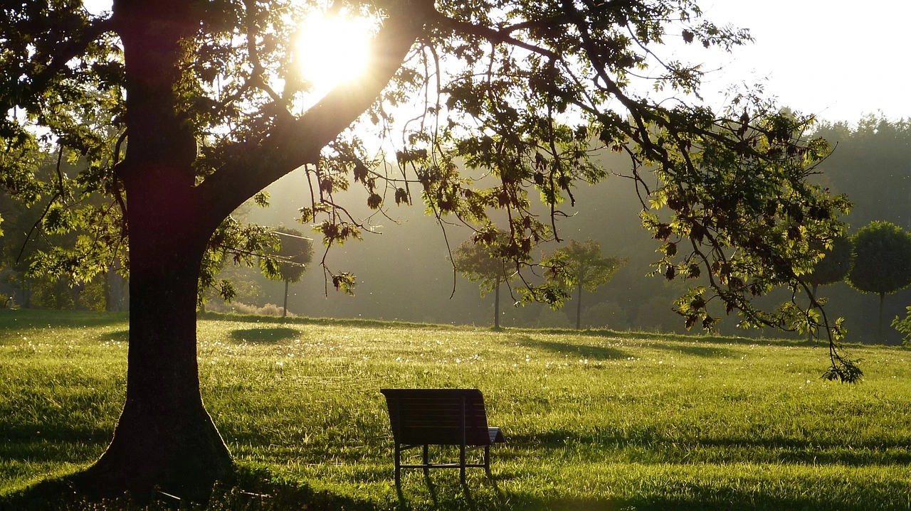 Paysage serein illustrant un protocole de sophrologie pour le bien-être émotionnel